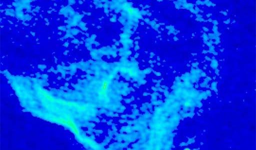 Giant Molecular Cloud (GMC)