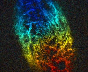 False-color image of M33