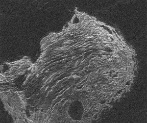 Arecibo-GBT radar image of Maxwell Montes
