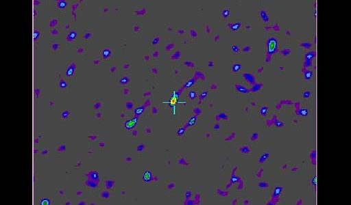 VLA image of GRB 980703
