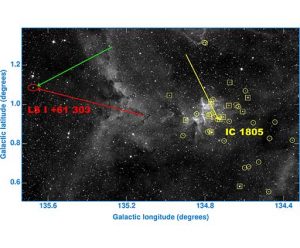 Microquasar LSI +61 303