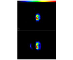 False color image of the RS Ophiuchi Expansion