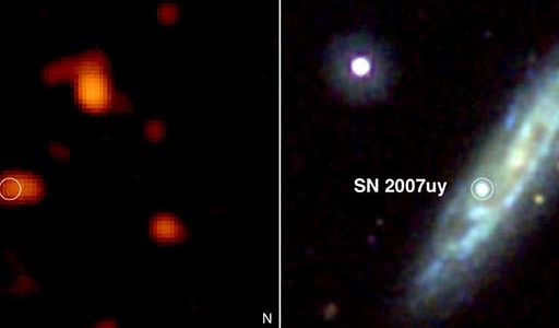 SN 2007uy and NGC 2770 before SN 2008D exploded