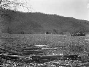 Site for the 300-foot telescope