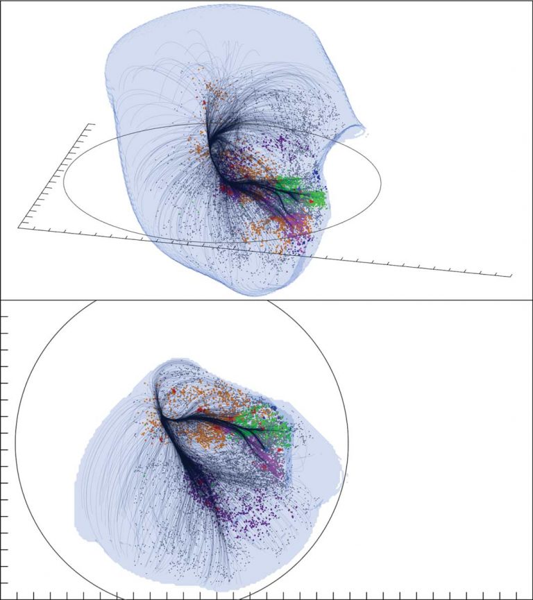 Two views of the Laniakea Supercluster