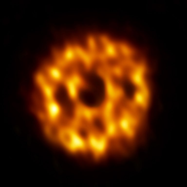 ALMA image of the dust surrounding the star HD 107146