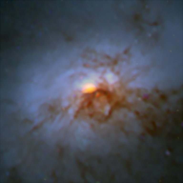 A combined Hubble Space Telescope / ALMA image of NGC 1266.