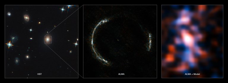 Gravitationally lensed galaxy SDP.81