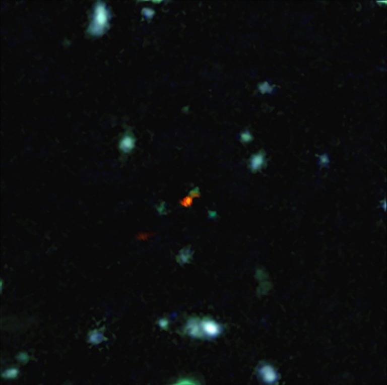 Image showing distant galaxy BDF 3299 and a vast cloud of material, detected by ALMA, that is in the process of assembling the very young galaxy.