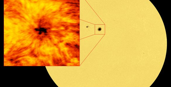 Optical and ALMA images of a sunspot