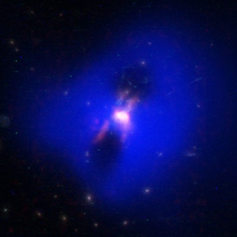 Radio jets from the supermassive black hole at the center of a galaxy in the Phoenix Cluster