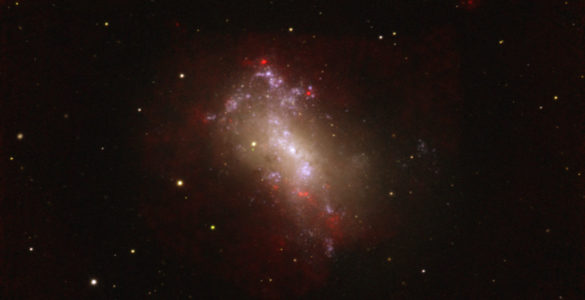 Making Stars in NGC 4449