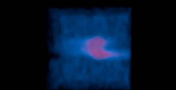 HCN molecules released by comet Lemmon