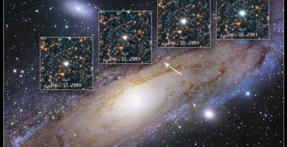 Cepheid Variable Star(s)