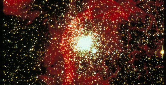 Star Cluster