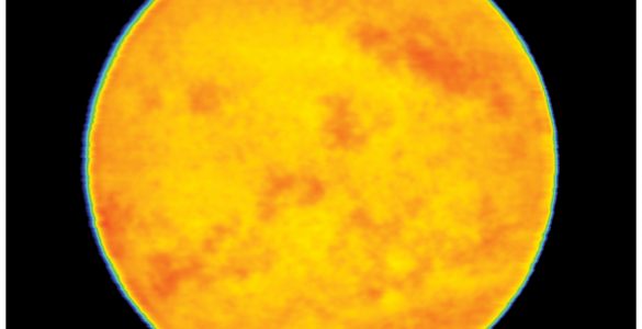 Yellow Dwarf