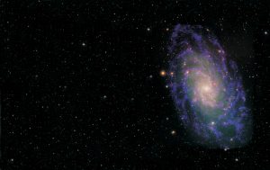 M33