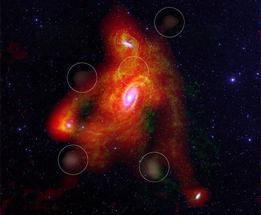 M81 Cluster