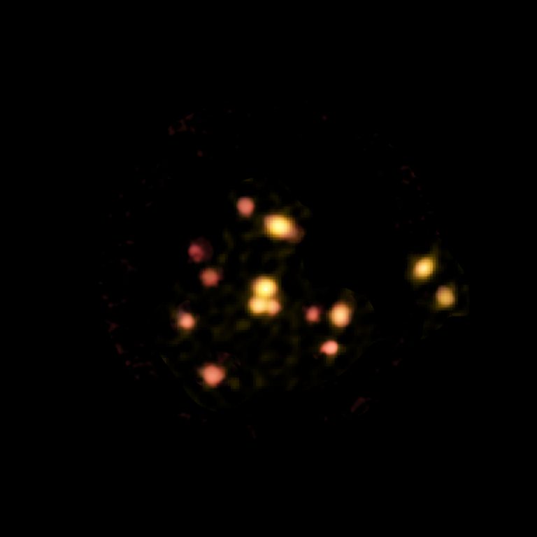 ALMA image of 14 galaxies forming a protocluster known as SPT2349-56