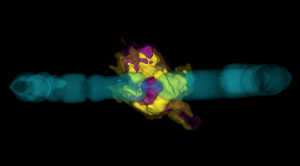 3D image of molecules in SN 1987A