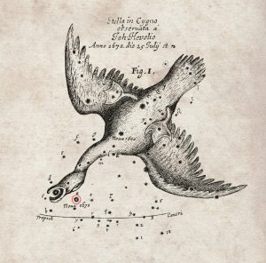 Chart of the position of a nova that appeared in the year 1670
