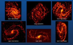 Galaxies in PHANGS-ALMA Survey