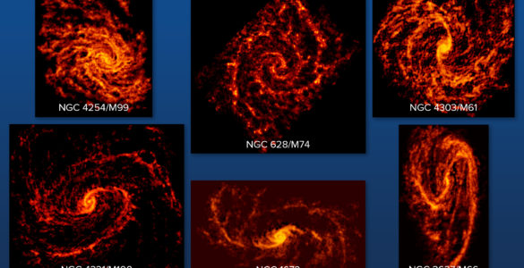 Galaxies in PHANGS-ALMA Survey