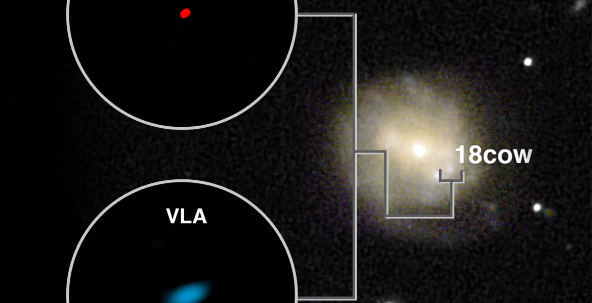 ALMA and VLA Images of AT2018cow