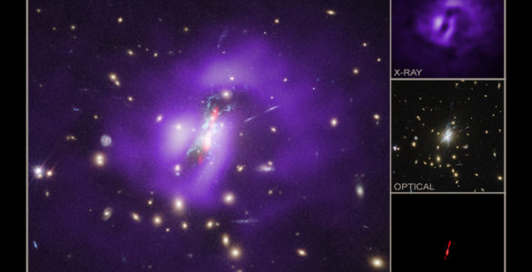 A Weakened Black Hole Allows its Galaxy to Awaken