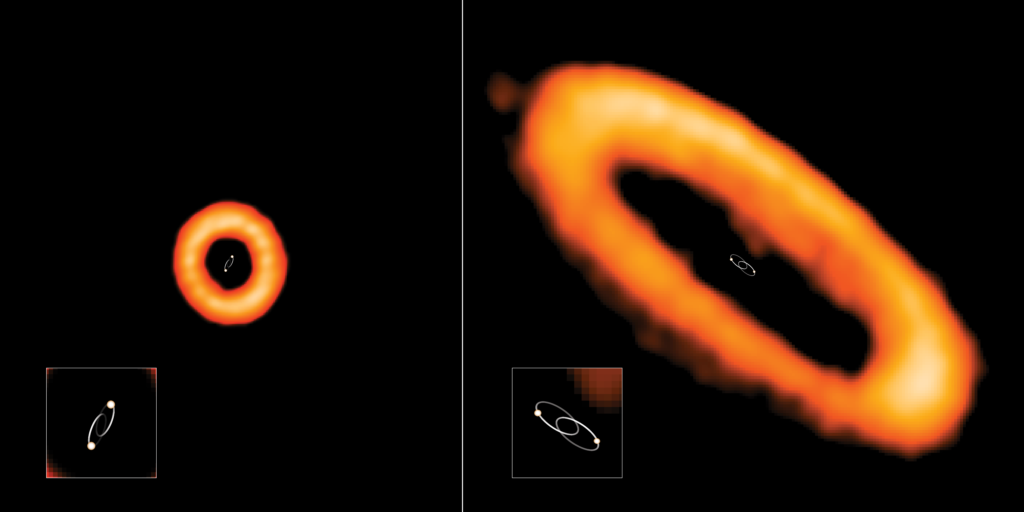 The Strange Orbits of ‘Tatooine’ Planetary Disks