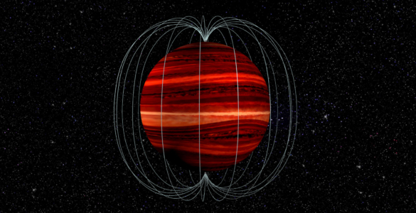 Brown Dwarf and its Magnetic Field