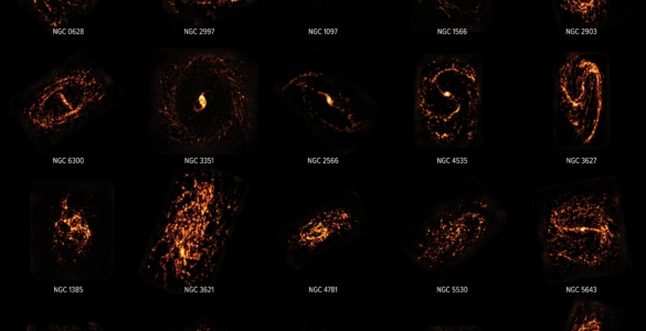 Twenty galaxies in the nearby universe shown as ALMA and Hubble Space Telescope composites. They are shown in orange and red to highlight their different structures, including spirals, rings, S shapes, and more.