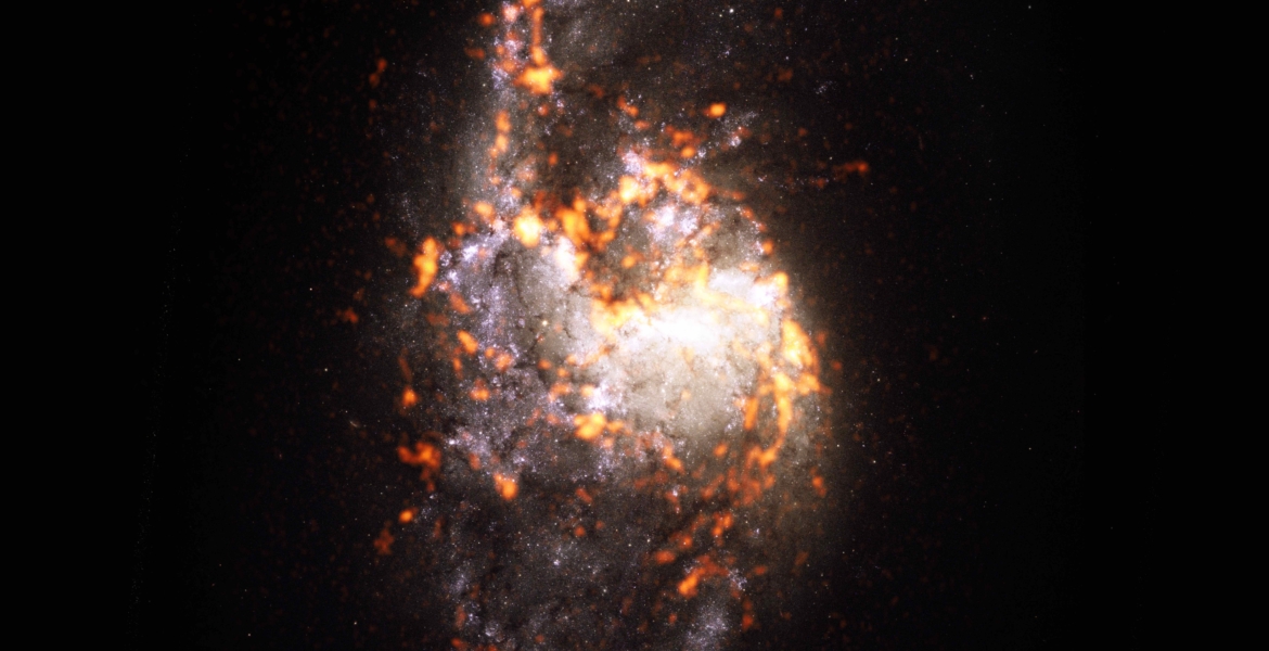 PHANGS-ALMA Survey: NGC1385