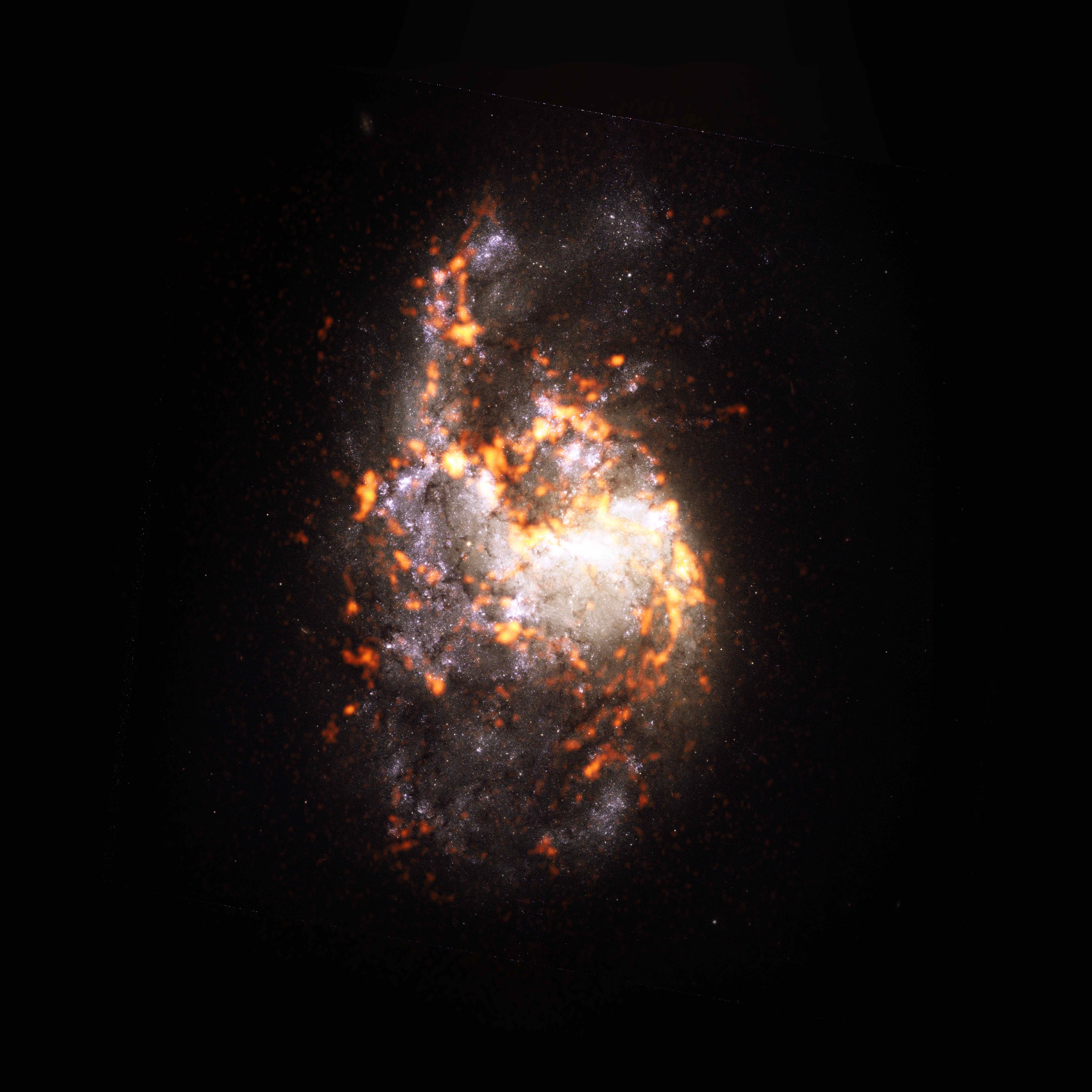 PHANGS-ALMA Survey: NGC1385