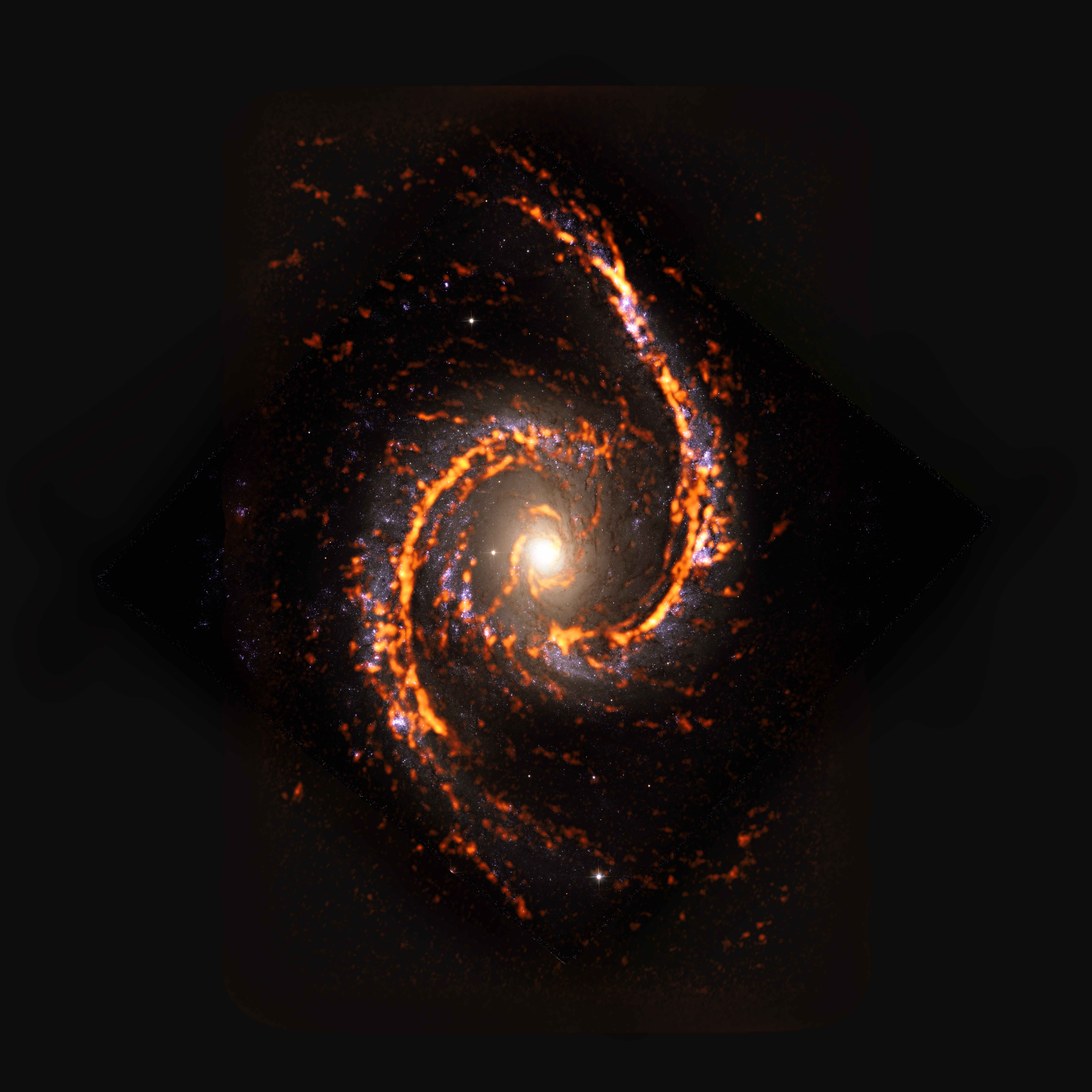 PHANGS-ALMA Survey: NGC1566