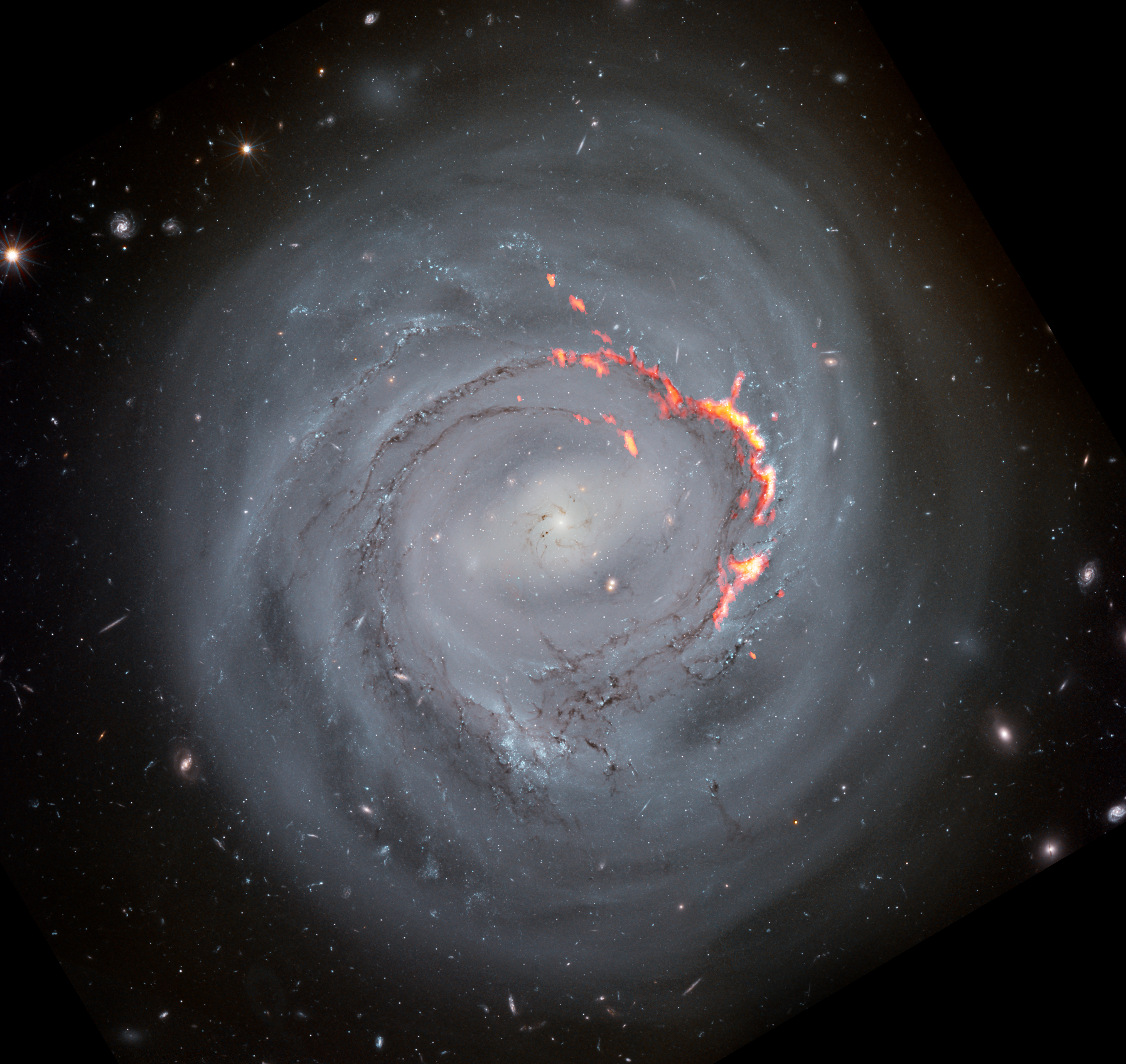 Ram Pressure Stripped Galaxy NGC4921