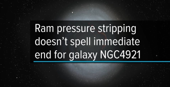 Ram pressure stripping doesn’t spell immediate end for galaxy NGC4921