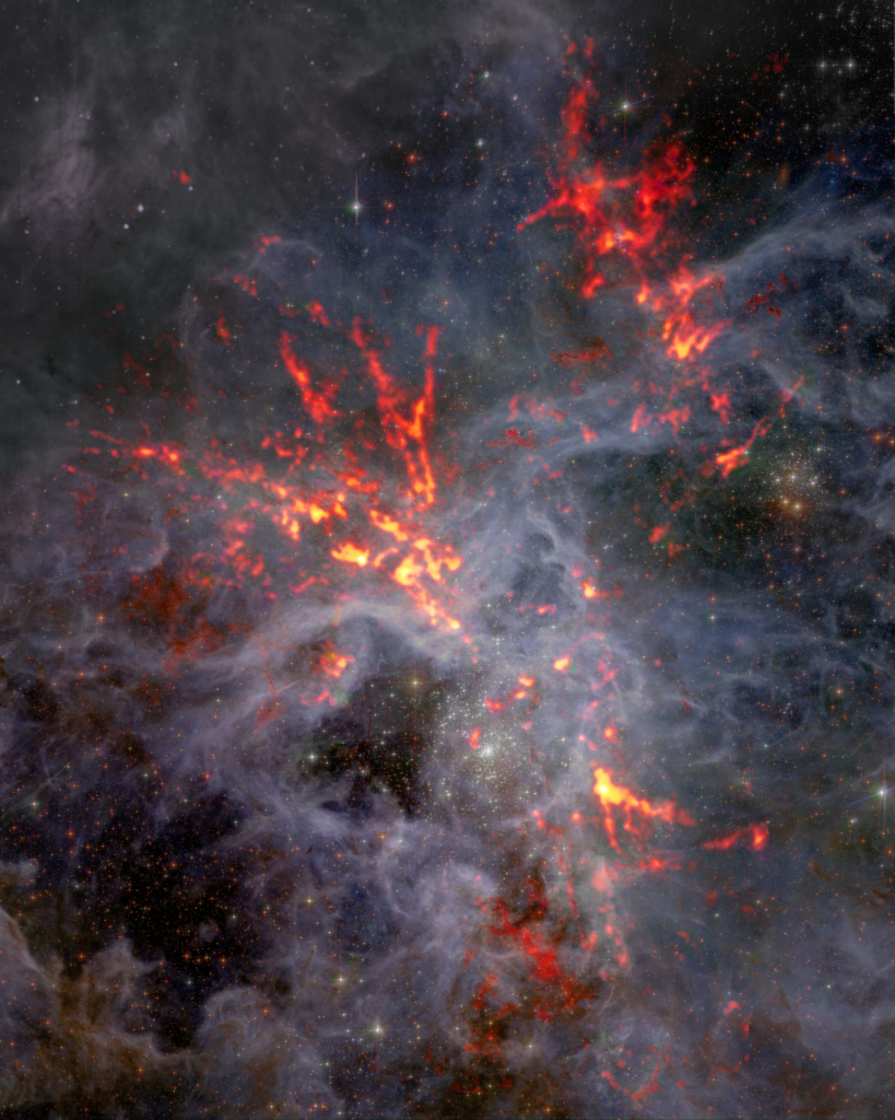 The star forming region 30 Doradus with ALMA observations of CO emission shown in orange/red.  Credit: ALMA (ESO/NAOJ/NRAO), T. Wong (U. Illinois, Urbana-Champaign); S. Dagnello (NRAO/AUI/NSF).