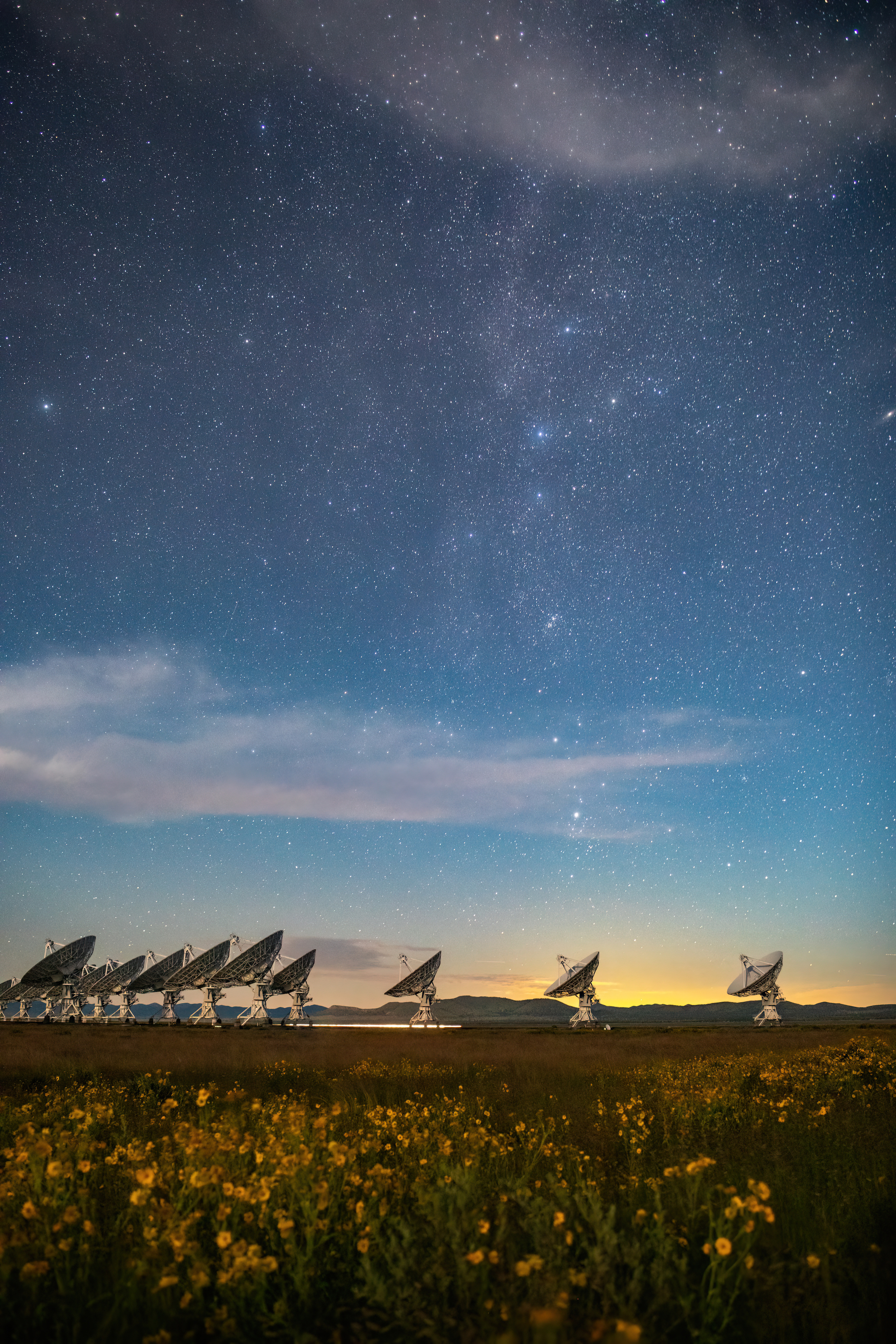 VLA Dishes: Cassiopeia and Flowers