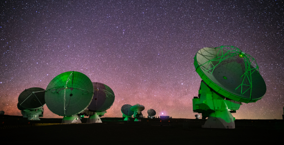 Green ALMA Dishes